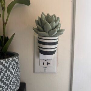 Bath & Body Works Succulent Wallflower